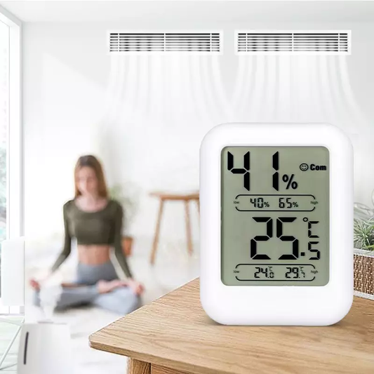 Mini Electronic Thermometer And Hygrometer