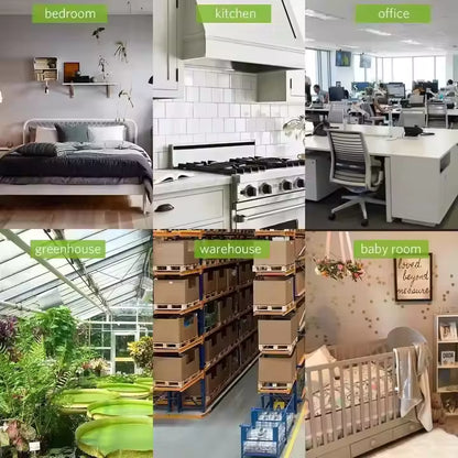 Mini Electronic Thermometer And Hygrometer