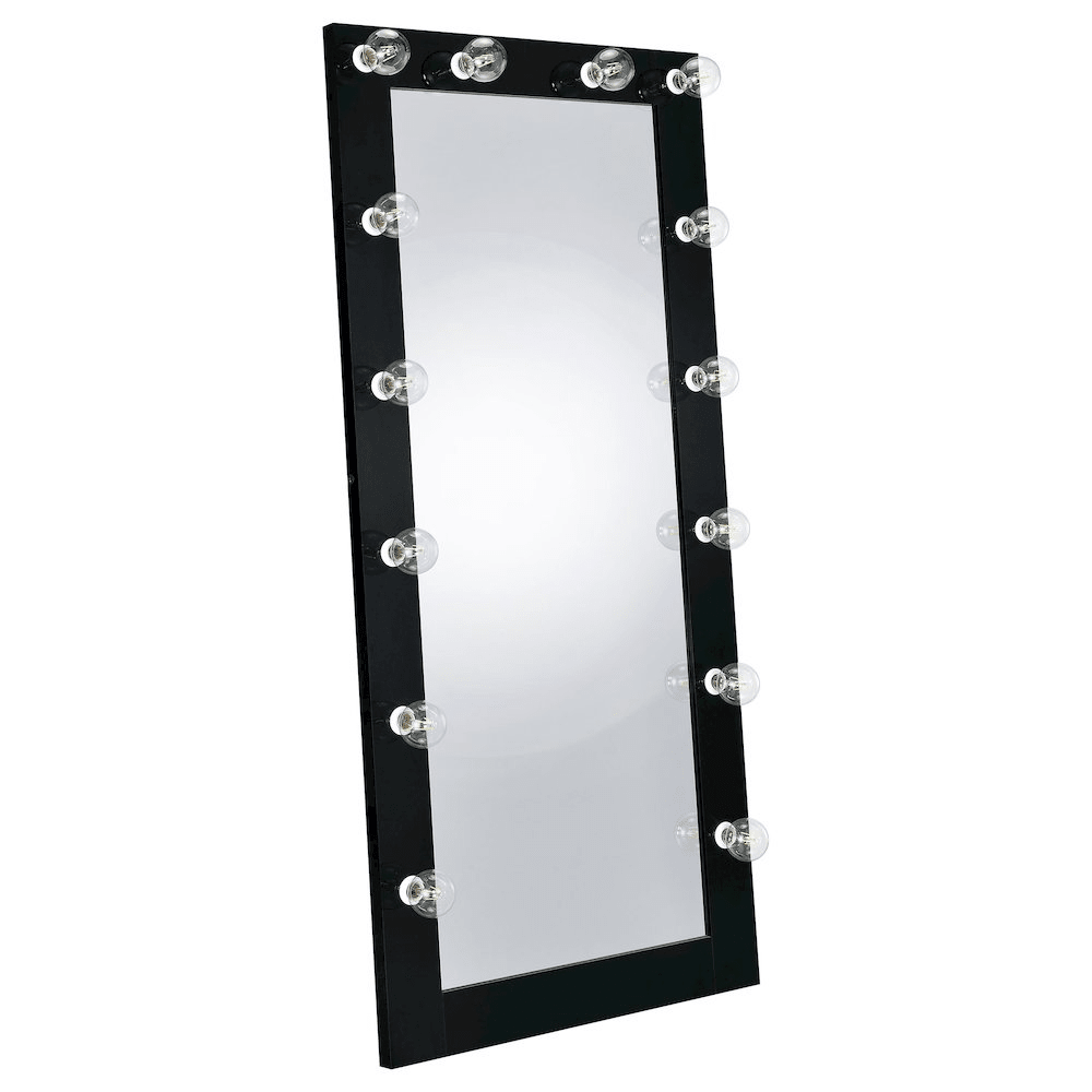 Zayan 32 x 71 Inch Floor Mirror LED Lighting Black Gloss - posh&amp;polish variety