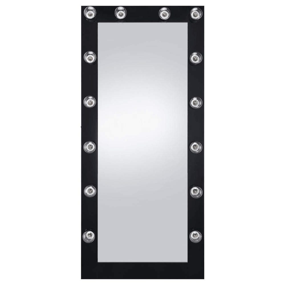 Zayan 32 x 71 Inch Floor Mirror LED Lighting Black Gloss - posh&amp;polish variety